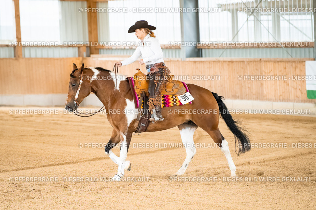 DSC01869 | Pferdegrafie