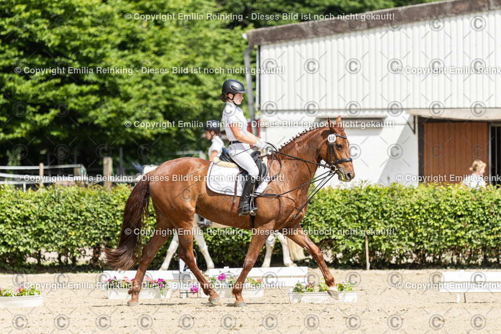 CL5A0732 | Emilia Reinking Fotografie - Realisiert mit Pictrs.com