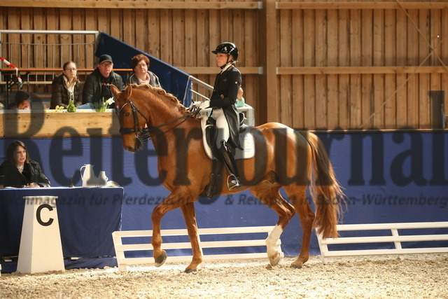 Turnier_Zeutern_2022_Prfg.Nr.04_Ramona Ritzel_DSP Belcanto (5) | Alle Fotos der Reiterjournal Fotografin Doris Matthaes im Reiterjournal Online-Fotoshop. - Realisiert mit Pictrs.com