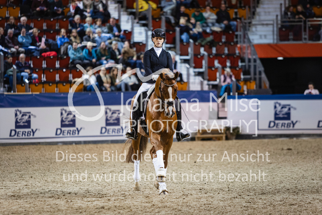 250108_Muenster_Hengstpräsentation-153 | Deine schönsten Turniermomente als professionelle Fotos! Entdecke hochwertige Pferdesport-Fotografie im Online-Shop. Jetzt Fotos finden & bestellen!