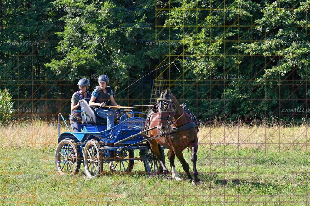 30 Jahre RFV Pulsnitz e.V., Pulsnitz am 09.08.2026 | 30Jahre Reit- und Fahrverein Pulsnitz e.V., Pulsnitz am 08.08.2026Zur 28. breitensportlichen Veranstaltung des RFV Pulsnitz e.V. fanden verschiedene Wettbewerbe in nahezu allen Disziplinen des Pferdesport statt.- Geländefahr-Wettbewerb - Realisiert mit Pictrs.com