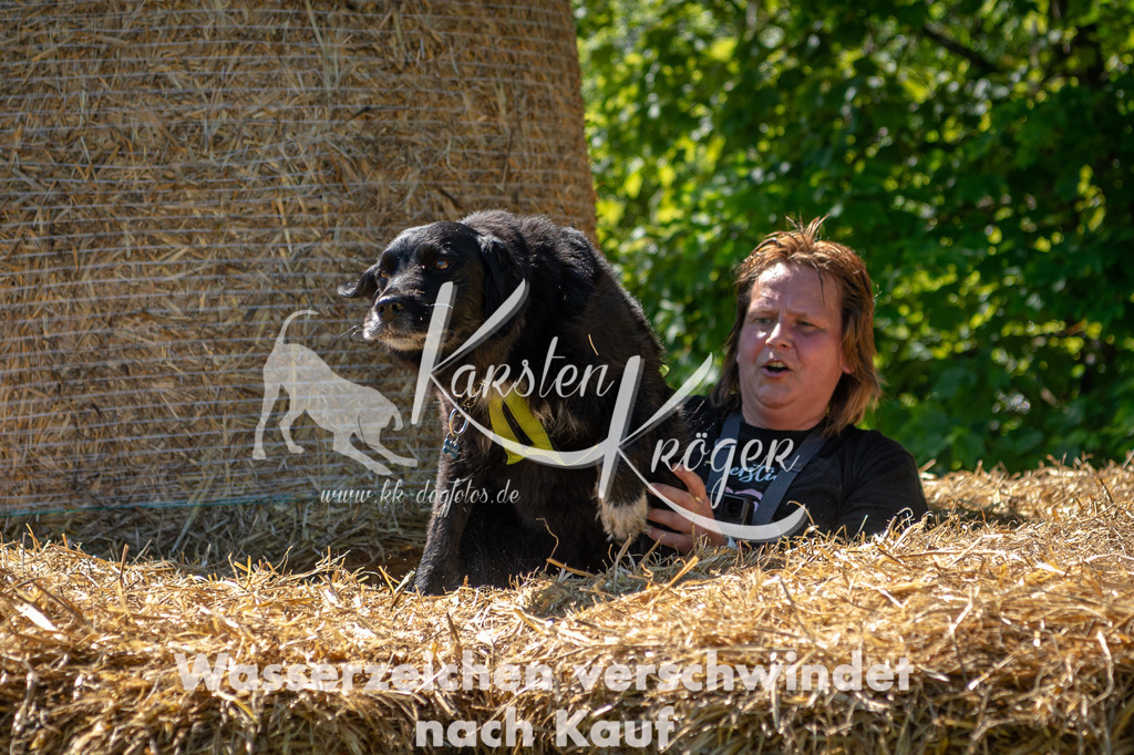 1041STR_5678 | kk-dogfotos