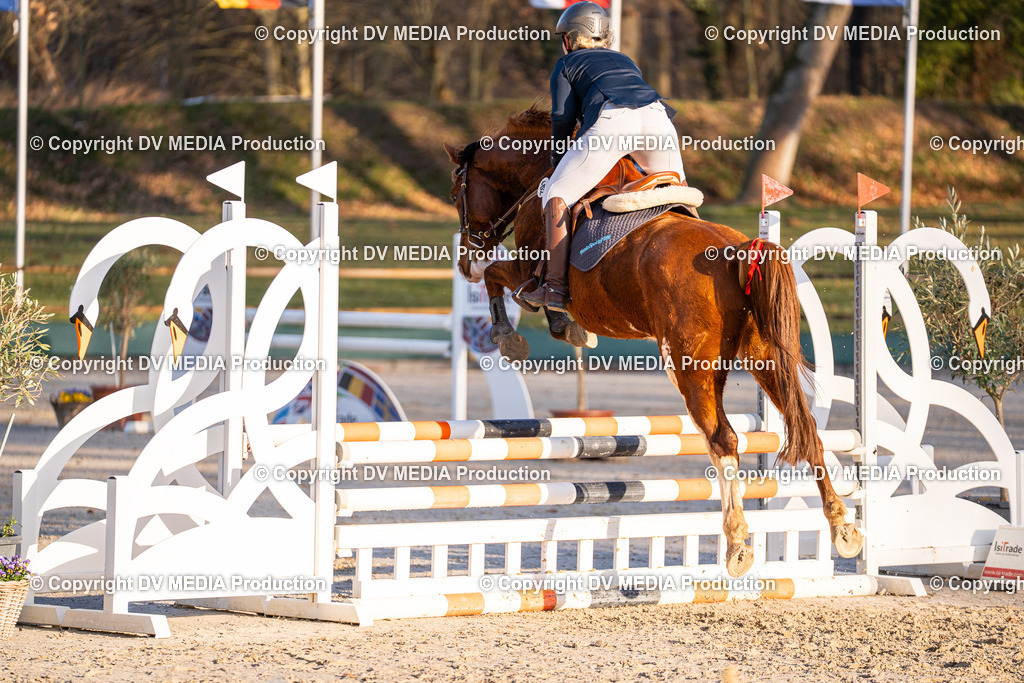 DSC-187 | dv-media-shop - Realisiert mit Pictrs.com