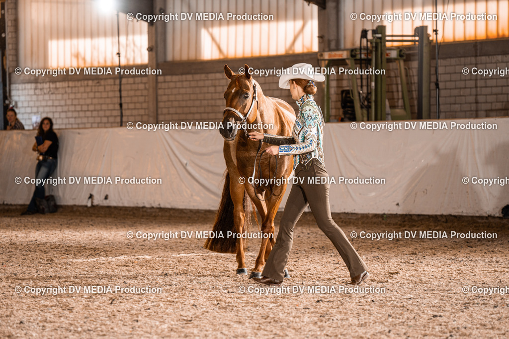 ZH100195 | dv-media-shop - Realisiert mit Pictrs.com