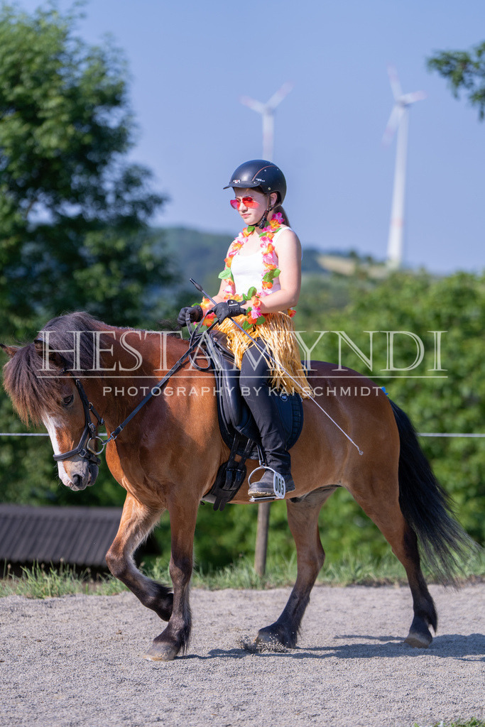 KAI07252 | Ihr sucht einen Fotografen für eure nächste OSI? Ich begleite auch euer Turnier für Islandpferde fotografisch.  - Realisiert mit Pictrs.com