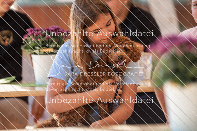 LR261_SD_05204 | saradresslerfotografie - Realisiert mit Pictrs.com