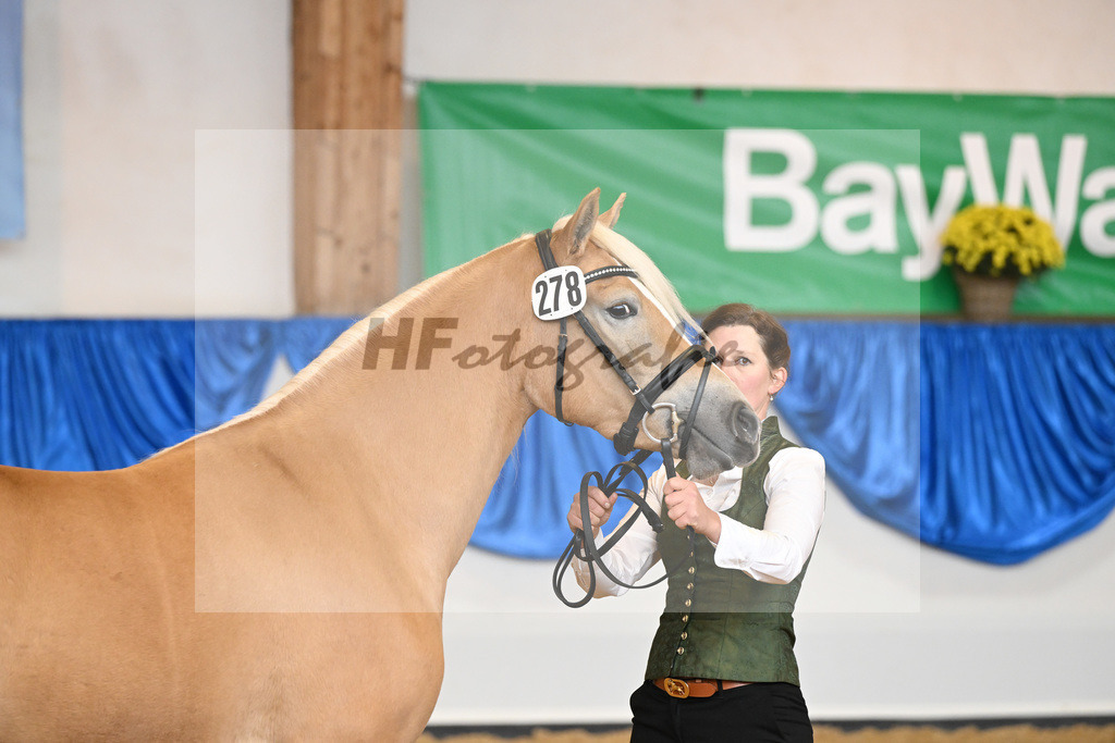 Kat-Nr. 278 Daria_Obermaier_54223205 | hf-fotografie - Realisiert mit Pictrs.com
