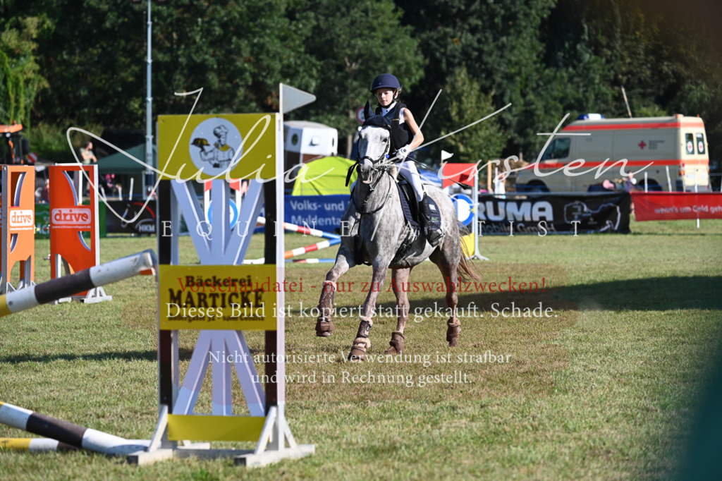 DSC_5055 | Pferde- und Turnierfotografie in Westsachsen. Pferdeportraits, Auftragszeichnungen und intuitive Kunst.