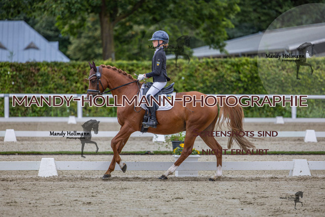 DRE L 6j (521 von 969) | mandyhollmannphotographie