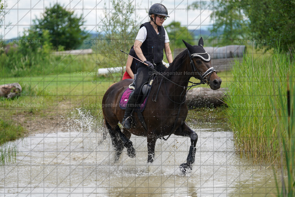 20240622-FAH07553 | Turnierfotografen Bayern, Reitsportbilder aus dem Geländekurs mit Felix Etzel auf dem Gut Waitzacker 2024