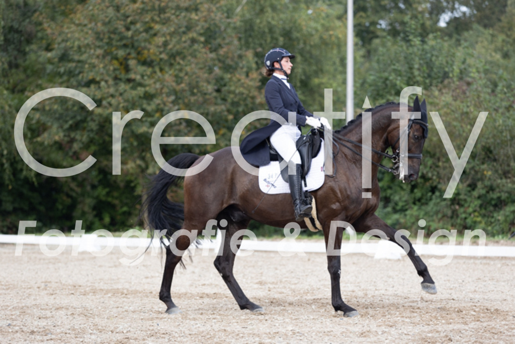 IMG_5008 | Creatify Fotografie