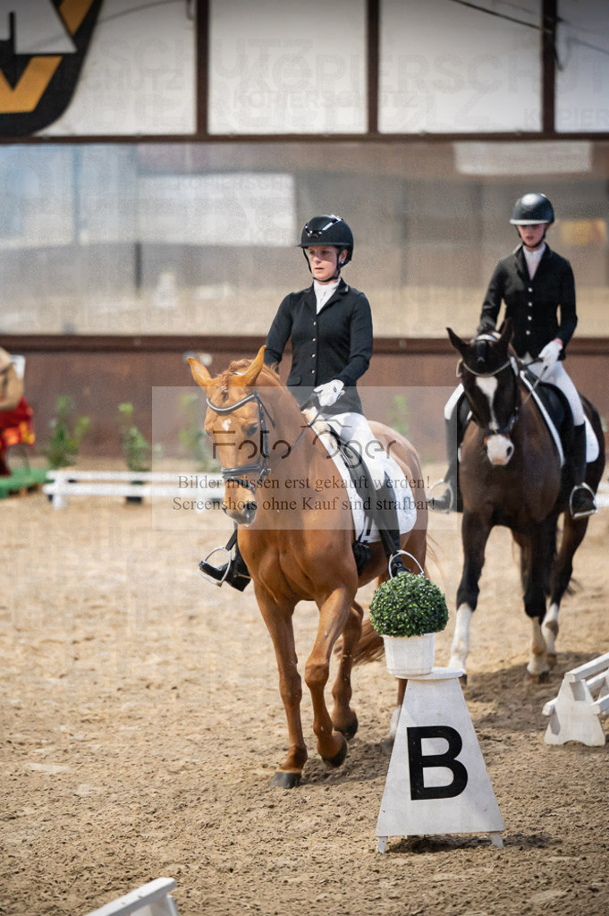 Hallenreittunier Voxtrup 2023 | Entdecke hochwertige Reitturnierfotos von Foto Oger. Professionell, emotional und authentisch – jetzt Lieblingsmomente im Shop bestellen.Deutschlandweite Turnierfotografie. - Realisiert mit Pictrs.com