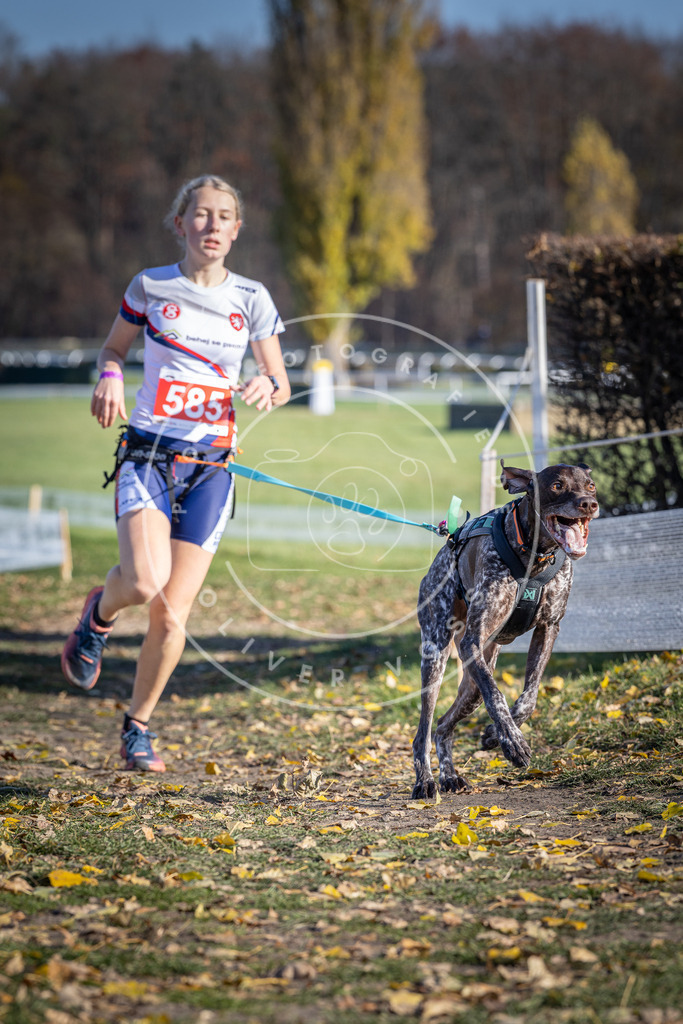 CaniXpix_DV3A9144 | Hundefotografie, Tierfotograf, Pfotenfotografie, Fotoshooting Hund, Hunde Portrait, Hundesport, Hundeportraits, Heideshooting, Hunde, Sportfotograf, Hundefotograf, Turnierhundsport, THS,  - Realisiert mit Pictrs.com