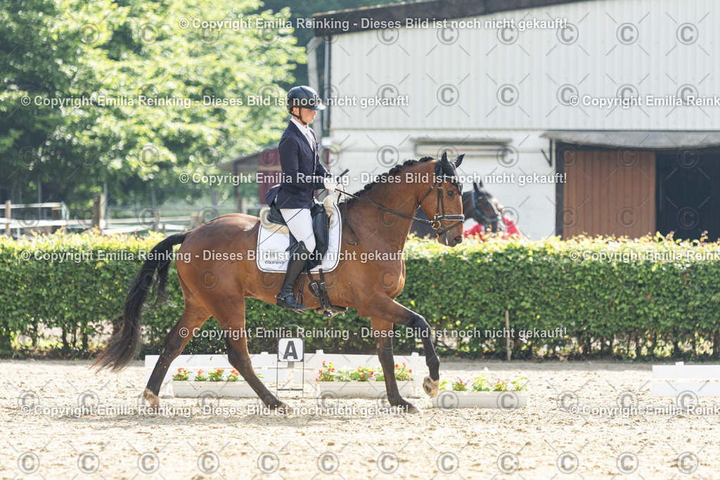 CL5A4210 | Emilia Reinking Fotografie - Realisiert mit Pictrs.com