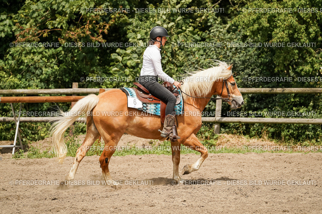 DSC00365 | Pferdegrafie