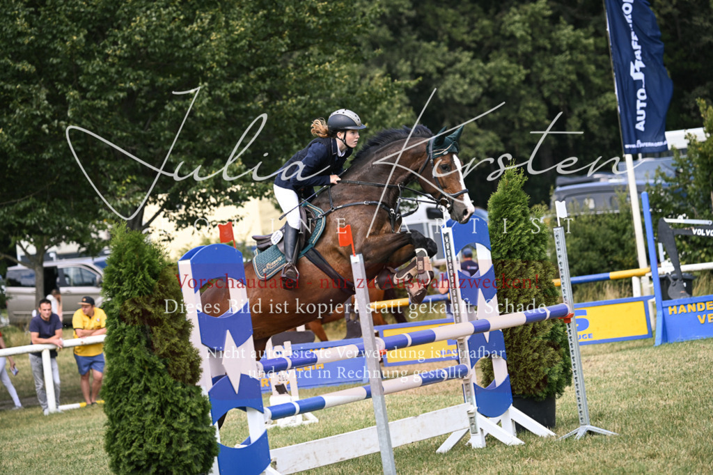 DSC_0610 | Pferde- und Turnierfotografie in Westsachsen. Pferdeportraits, Auftragszeichnungen und intuitive Kunst.