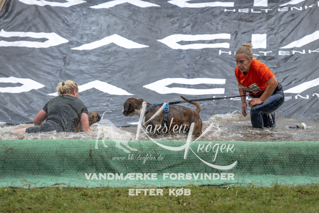 1514_ZZ92304 | kk-dogfotos