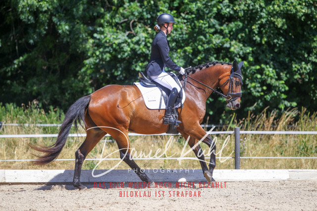 DKP46580 | Turniersportfotografie; Pferdefotografie; Dressurfotografie