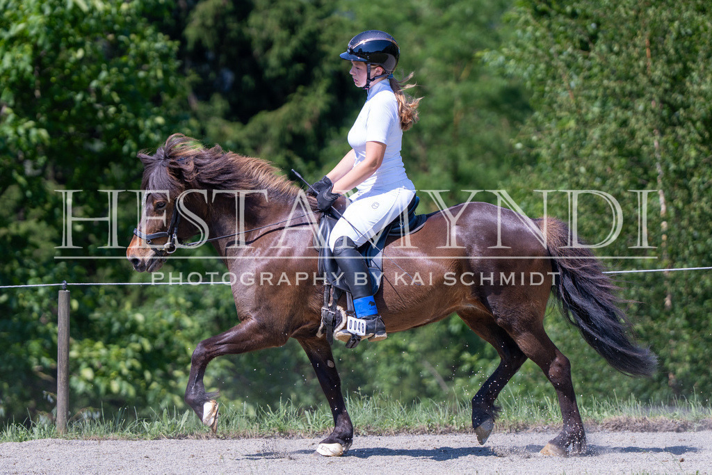 KAI05499 | Ihr sucht einen Fotografen für eure nächste OSI? Ich begleite auch euer Turnier für Islandpferde fotografisch.  - Realisiert mit Pictrs.com