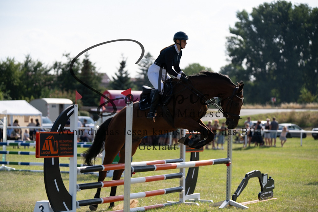 A7V00690 | Pferdefotograf