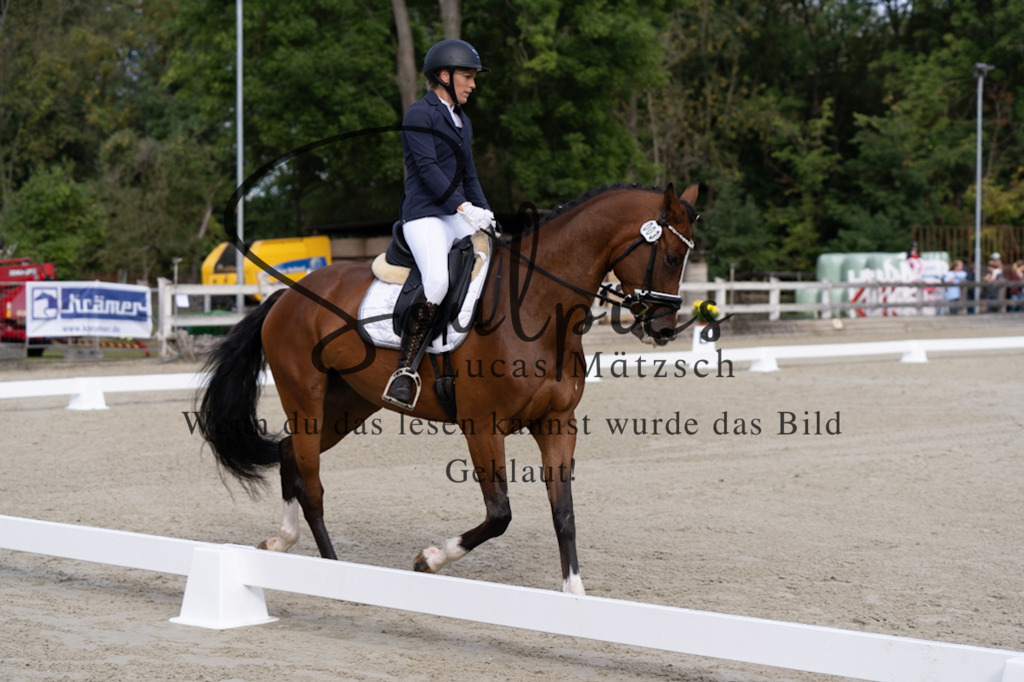 A7V06791 | Turnier/Reitfotograf