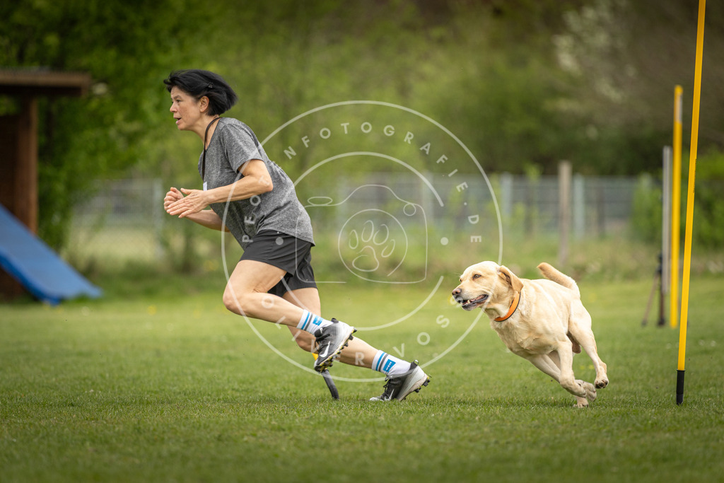 Pfotenfotografie_DV3A9591 | Hundefotografie, Tierfotograf, Pfotenfotografie, Fotoshooting Hund, Hunde Portrait, Hundesport, Hundeportraits, Heideshooting, Hunde, Sportfotograf, Hundefotograf, Turnierhundsport, THS,  - Realisiert mit Pictrs.com