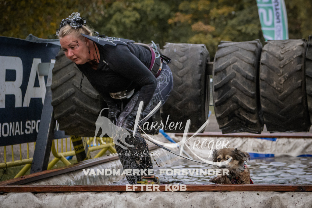 1629_ZZ93579 | kk-dogfotos