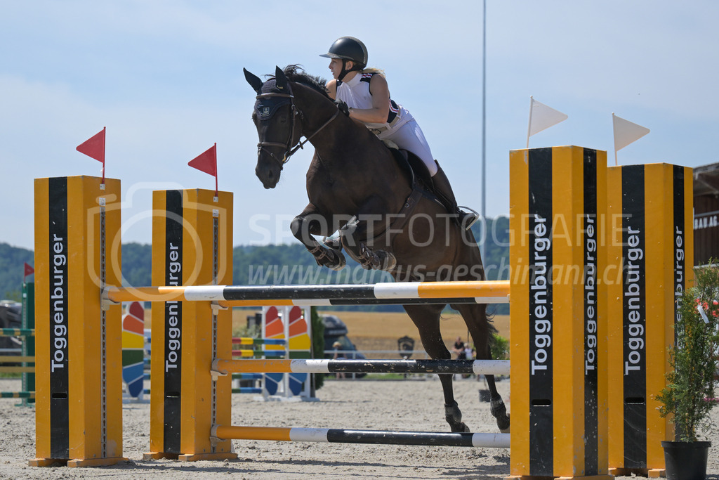 Pferdesporttage Winterthur - 19. July 2025 | Pferdesporttage WinterthurSandplatz Pferdesport-Arena, WinterthurBild: Sportfotografie Markus Aeschimann | www.markus-aeschimann.ch - Realisiert mit Pictrs.com