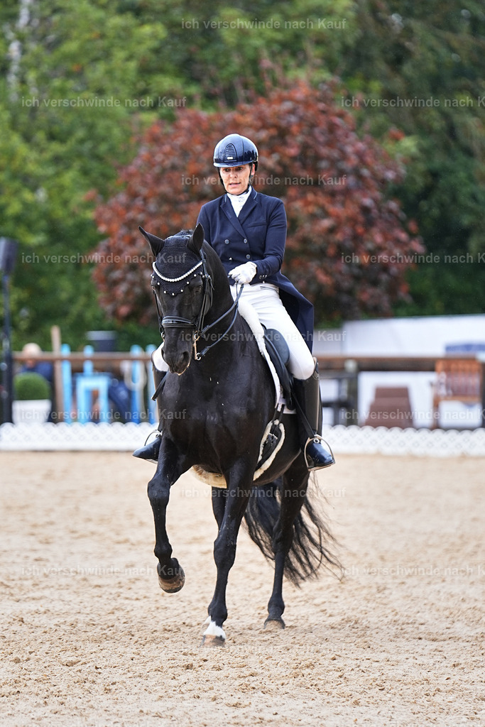 07-194-DRESSUR  S___  -Marixx-5130 | working equitationturnier fotograf videograf stoibphotography marixx film working equitation deutschland reitsport turnierfotografie eventfotografie equestrian events