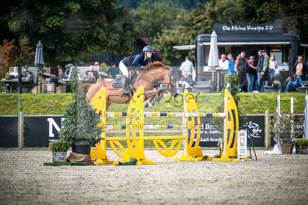 DOS_6557 | Entdecke hochwertige Reitturnierfotos von Foto Oger. Professionell, emotional und authentisch – jetzt Lieblingsmomente im Shop bestellen. - Realisiert mit Pictrs.com
