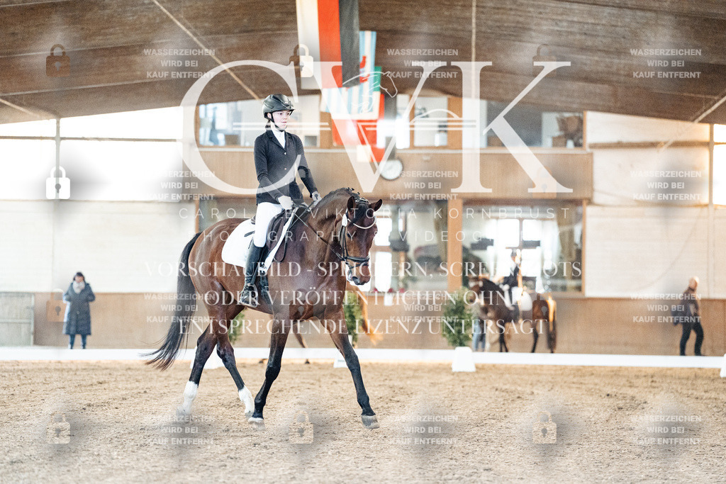 CK906463 | Turnierfotografie Pferdefotografie Trier Rheinland-Pfalz Pferdesport Reitsport Tierfotografie Sportfotografie Pferdevideo Pferdevideografie Equestrianvideography equestrianphotography  - Realisiert mit Pictrs.com