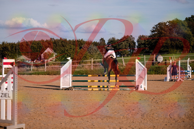 2026_10_03_Siefer-Hof_170858_Z81_05597698 | Professionelle Reitsport-, Turnier- und Eventfotografie von Robert Broda. Galerien mit ausgewählten und bearbeiteten Bildern direkt online ansehen und bestellen.