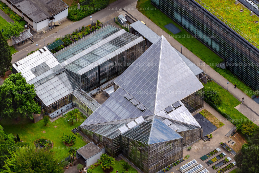 4032933 | FREIBURG IM BREISGAU 30.06.2020 Gewächshaus - Koplex des Botanische Garten Freiburg in Freiburg im Breisgau im Bundesland Baden-Württemberg, Deutschland. Weiterführende Informationen bei: Botanischer Garten. // Greenhouse - complex of the Botanical Garden Freiburg in Freiburg im Breisgau in the state Baden-Wurttemberg, Germany. Further information at: Botanischer Garten. Foto: Gerhard Launer