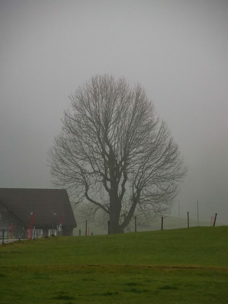 PSX_20221204_231333 | mtkfoto_ - Realisiert mit Pictrs.com