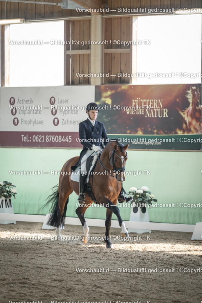 _D5A9773 | Emotionale Pferde- & People-Fotografie rund um Heidelberg, Leimen & Umgebung. Natürliche Fotos von Pferd, Mensch & Familie. Jetzt Termin sichern!