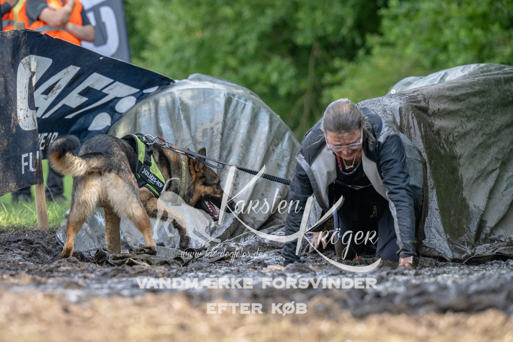 1546_ZZ91774 | kk-dogfotos