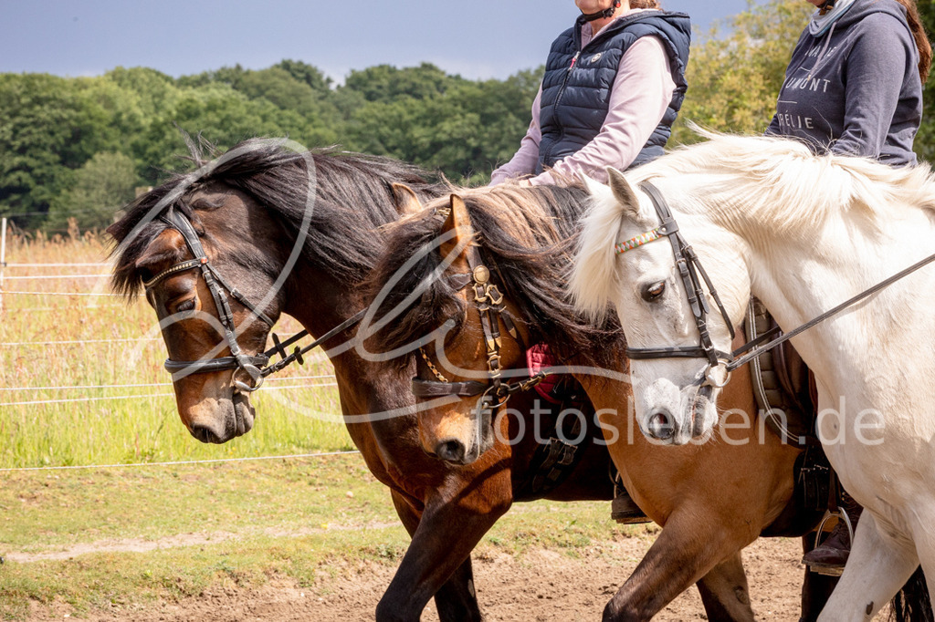 846A0964 | fotosleben - Realisiert mit Pictrs.com
