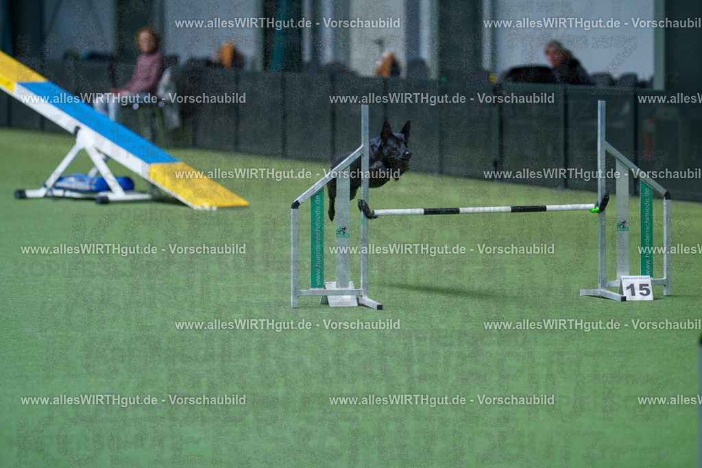 @allesWIRTHgut_Tierfotografie - www.allesWIRTHgut.de - 2604261515-7R505007 | Professionelle Tierfotografie in Mönchengladbach von Daniel Wirth (allesWIRTHgut). Liebevolle & natürliche Bilder von Hunden & Katzen für unvergessliche Erinnerungen.