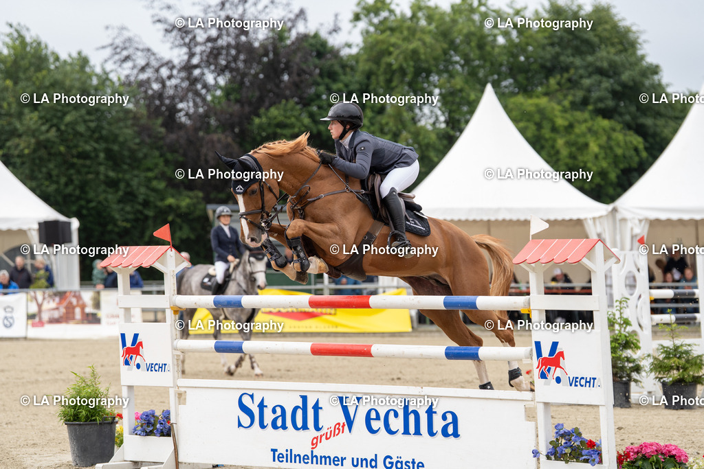 DSC08242 | Entdecke einzigartige Turnierfotos und persönliche Pferde- und Hundeportraits bei LA Photography. Für jeden Reiter und Pferd das perfekte Bild! Stöbere jetzt! - Realisiert mit Pictrs.com