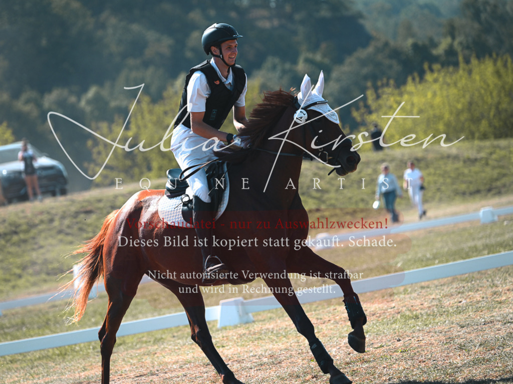 DSC_7979 | Pferde- und Turnierfotografie in Westsachsen. Pferdeportraits, Auftragszeichnungen und intuitive Kunst.