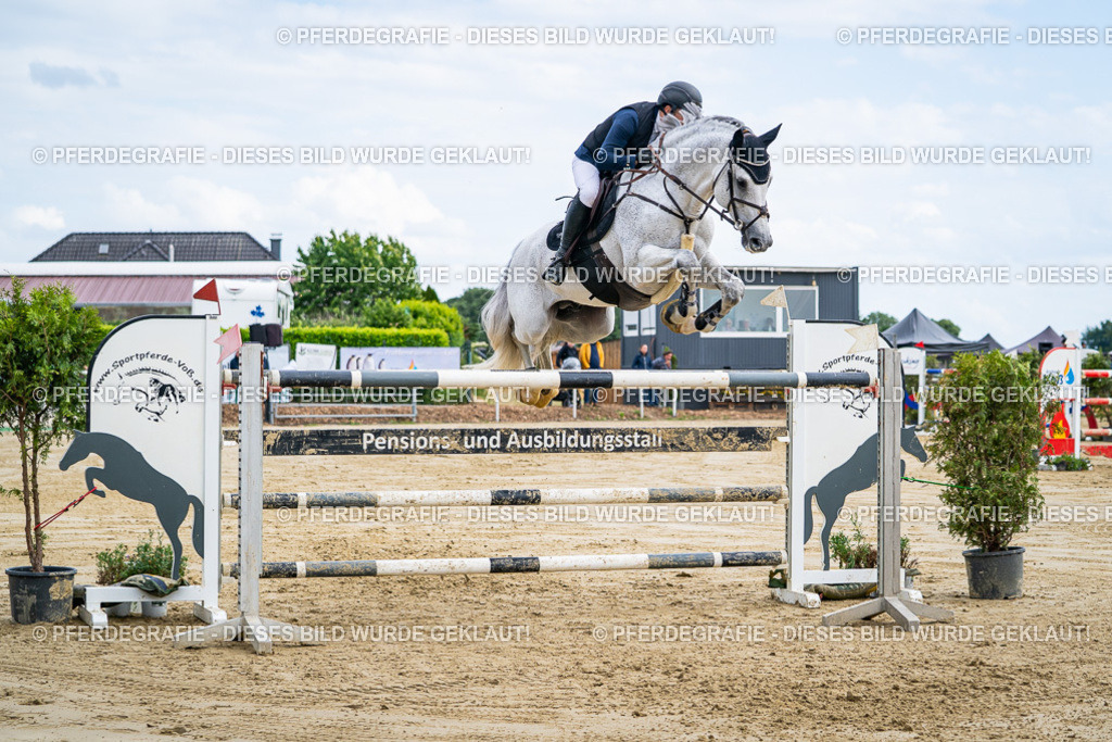 DSC06946 | Pferdegrafie