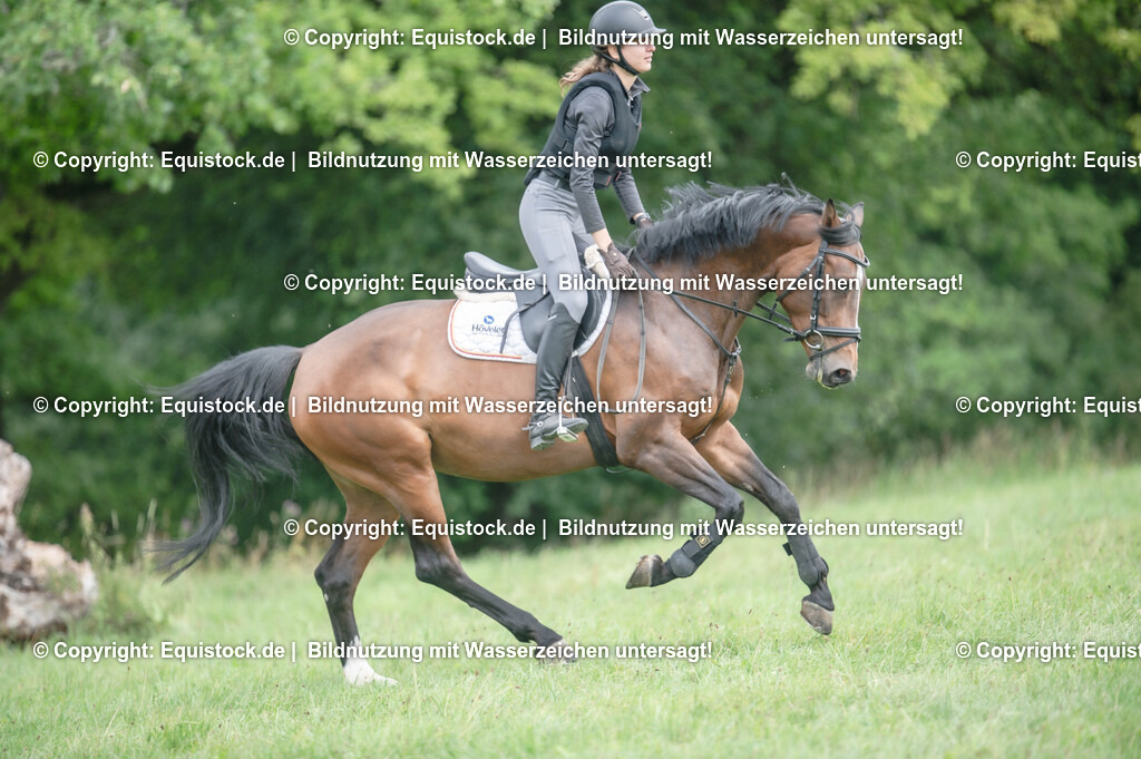 20250726_Vielseitigkeitslehrgang-Marbach_0720 | Foto: Thomas Hartig