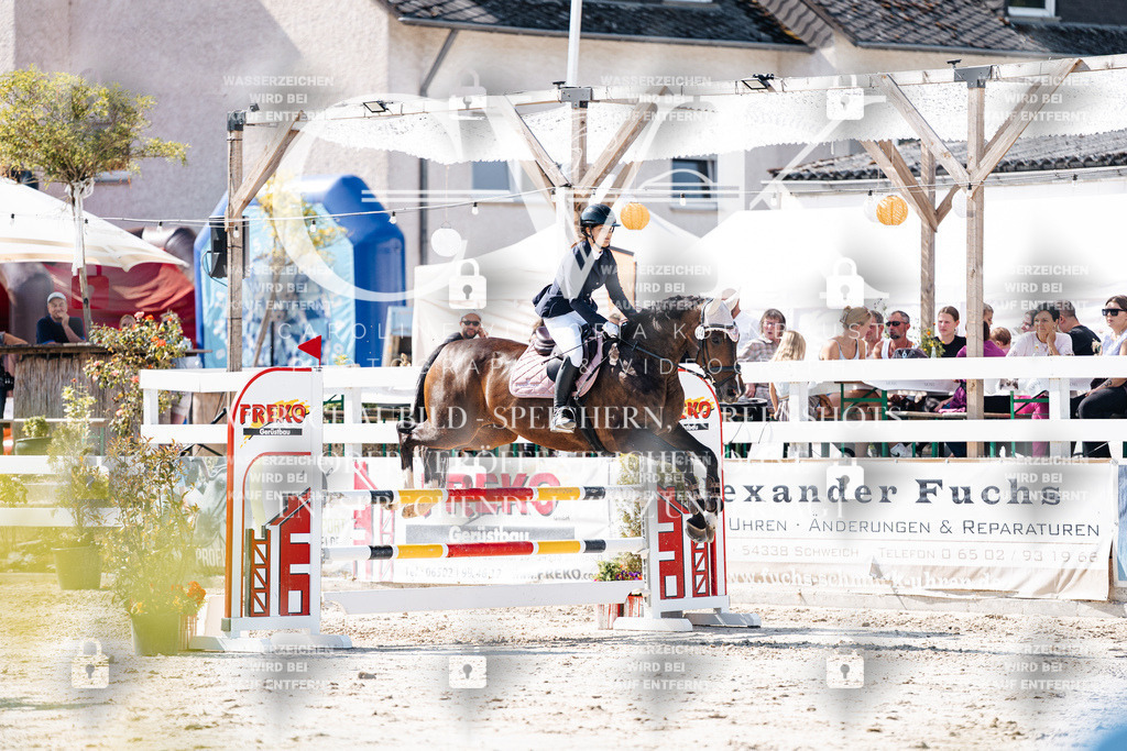 CK908151 | Turnierfotografie Pferdefotografie Trier Rheinland-Pfalz Pferdesport Reitsport Tierfotografie Sportfotografie Pferdevideo Pferdevideografie Equestrianvideography equestrianphotography  - Realisiert mit Pictrs.com