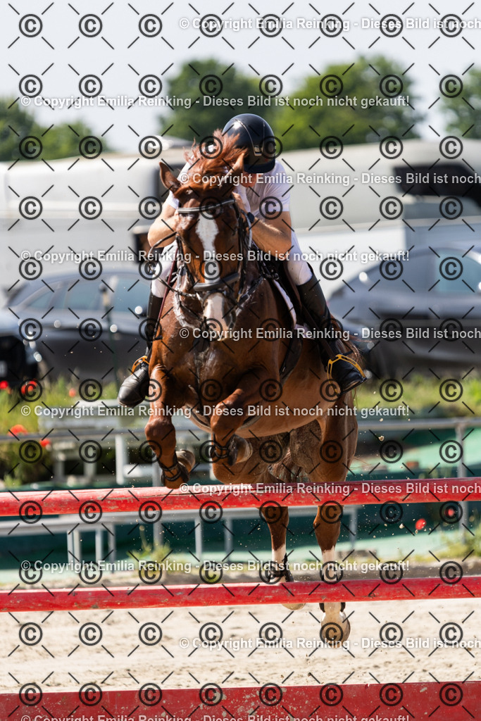 CL5A0943 | Emilia Reinking Fotografie - Realisiert mit Pictrs.com