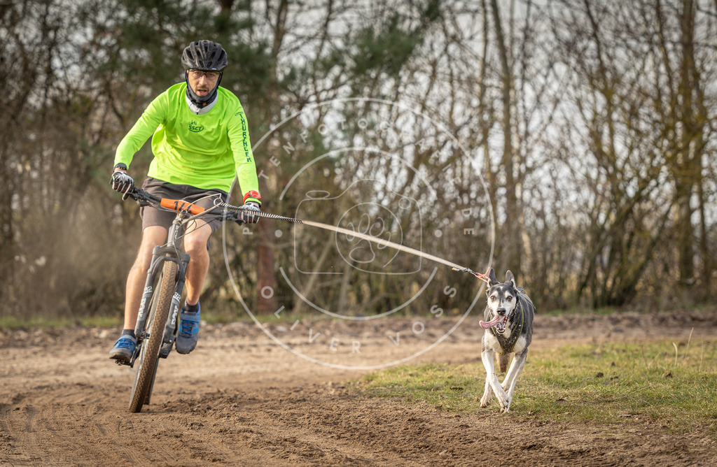 Pfotenfotografie_DV3A8418 | Hundefotografie, Tierfotograf, Pfotenfotografie, Fotoshooting Hund, Hunde Portrait, Hundesport, Hundeportraits, Heideshooting, Hunde, Sportfotograf, Hundefotograf, Turnierhundsport, THS,  - Realisiert mit Pictrs.com