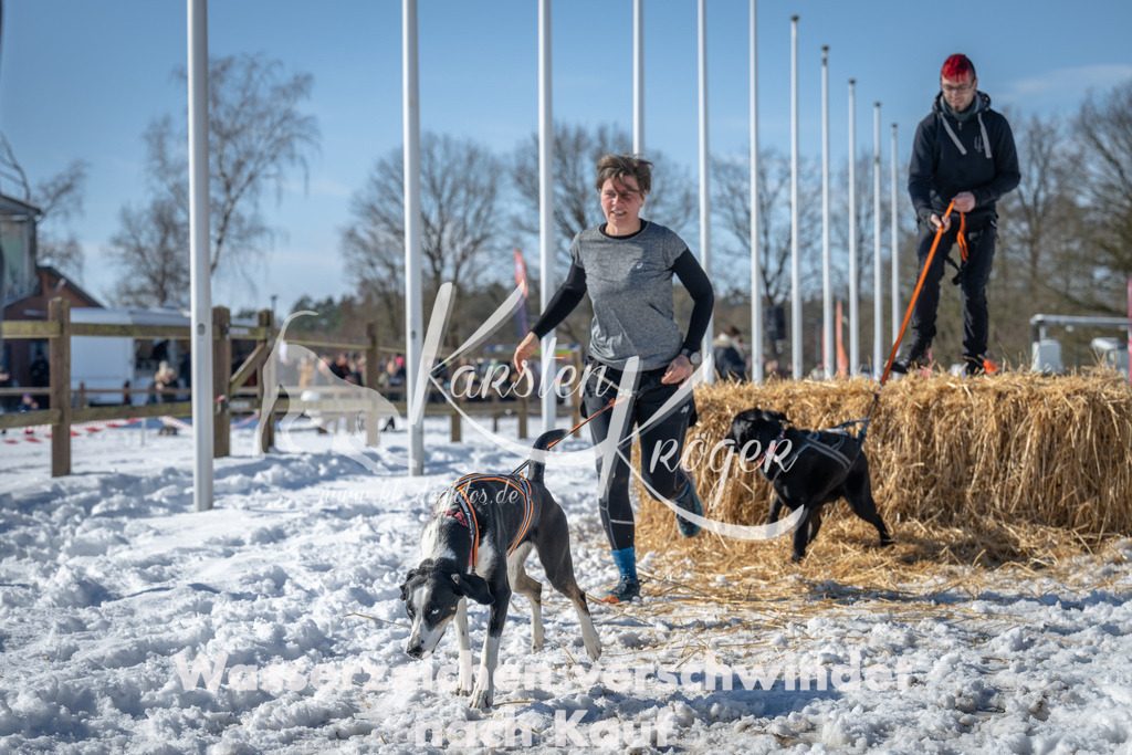 1252_ZZ92888-3 | kk-dogfotos