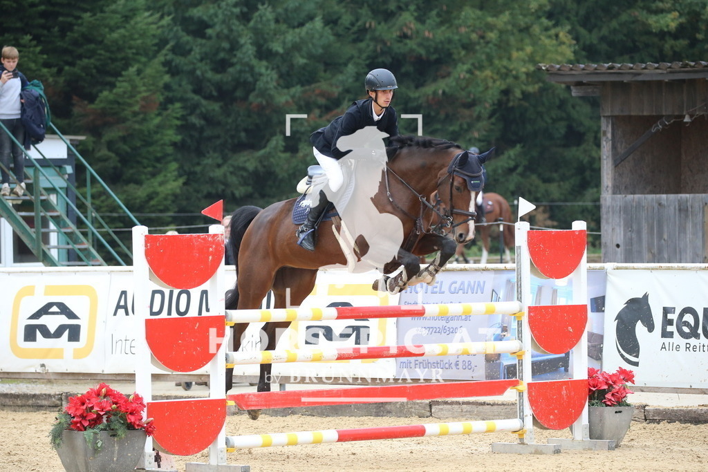 DL2Q0733 | Willkommen bei Brunnmayr - Design & Fotografie – Ihrem Spezialisten für Reitturniere und Pferdeveranstaltungen in Oberösterreich, Salzburg und Bayern! Seit über 17 Jahren sind wir leidenschaftlich dabei.