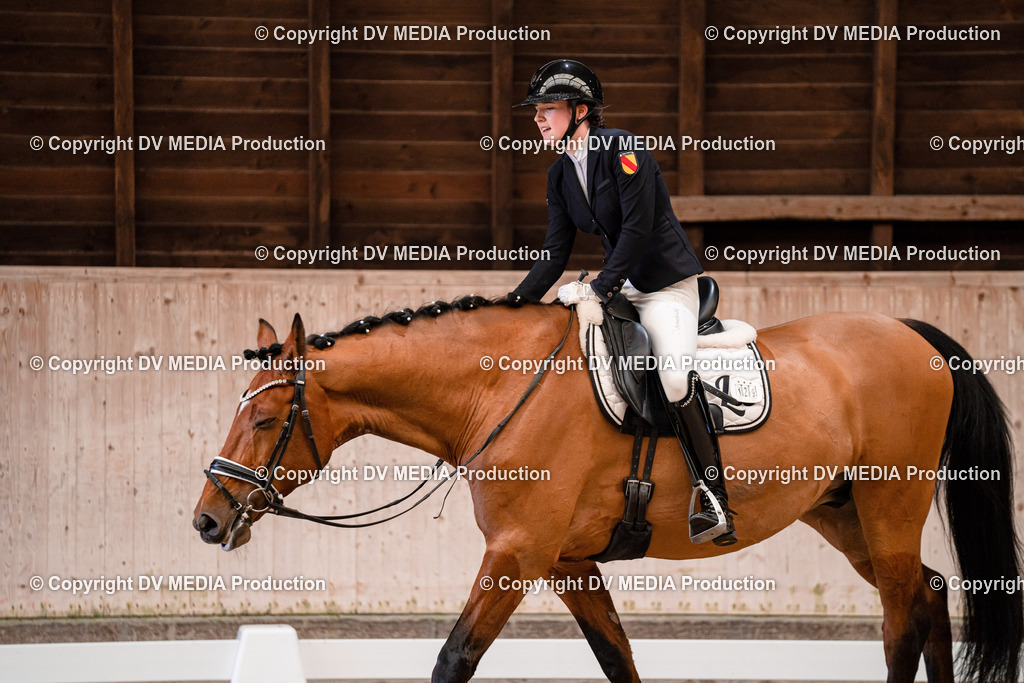 Dressur Tag 2-345 | dv-media-shop - Realisiert mit Pictrs.com