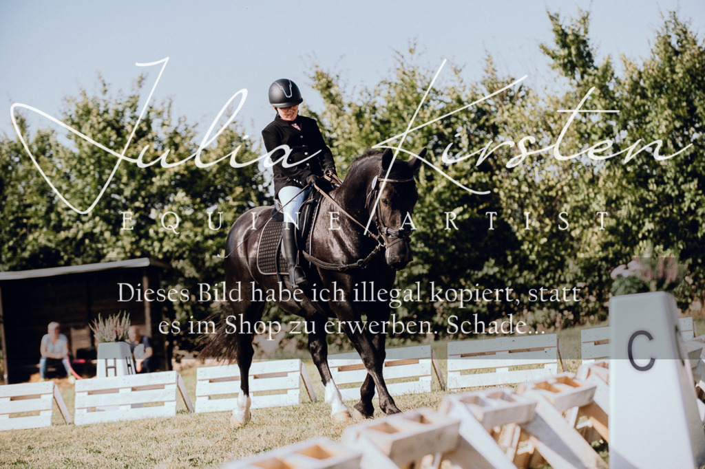 DSC_6986 | Pferde- und Turnierfotografie in Westsachsen. Pferdeportraits, Auftragszeichnungen und intuitive Kunst.