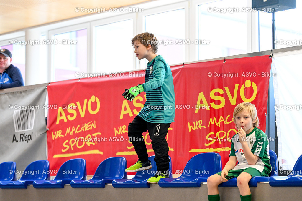 ASVÖ_ Fussballturnier SV Gallneukirchen_ 08.02.2025-98 | 08.02.2025, Gallneukirchen, AUT, ASVÖ, Fussball Nachwuchs Hallenturnier 2025, SV Gallneukirchen im Bild Teilnehmer U 7©Harald Dostal / fodo.media - Realisiert mit Pictrs.com